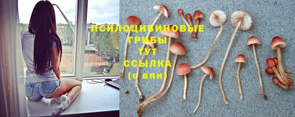 мдма Коряжма