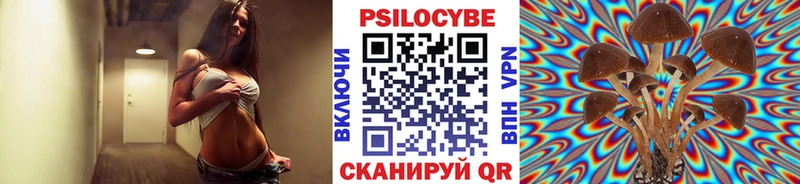 купить наркоту  Цивильск  Псилоцибиновые грибы ЛСД 