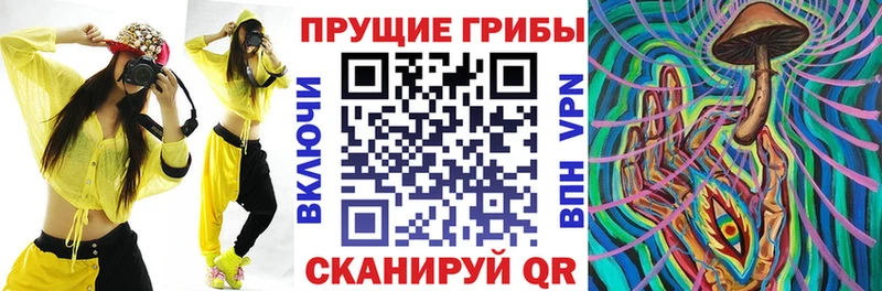 Псилоцибиновые грибы Magic Shrooms Цивильск